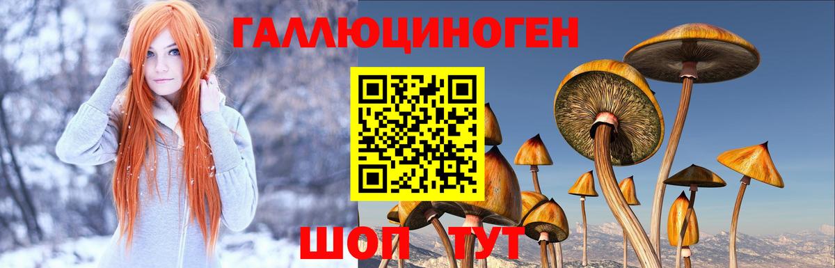 Шадринск  Галлюциногенные грибы ЛСД  Вход с VPN 